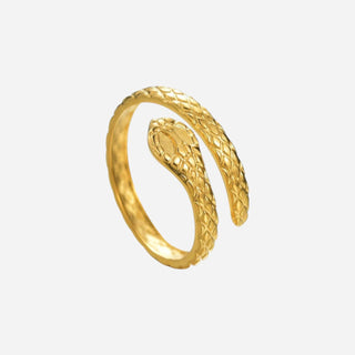 Small Texture Snake Ring 18K Guldpläterat