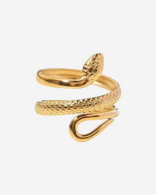 Snake Texture Ring 18K Guldpläterat